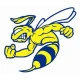 Howick Hornets Rugby League Football Club Howick Hornets Rugby League Football Club