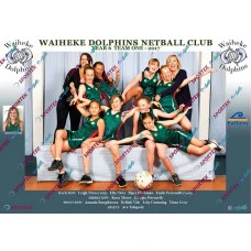 Waiheke Dolphins Year 6 Team One - 2017 (Funny)