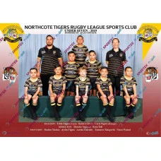 Northcote Tigers Under 7 Open - 2019