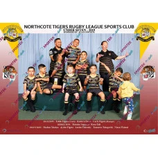 Northcote Tigers Under 7 Open - 2019 (Funny)