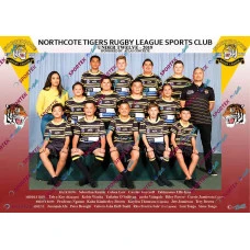 Northcote Tigers Under 12 Open - 2019